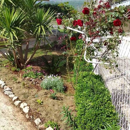 Guesthouse Djurisic Herceg Novi Zewnętrze zdjęcie