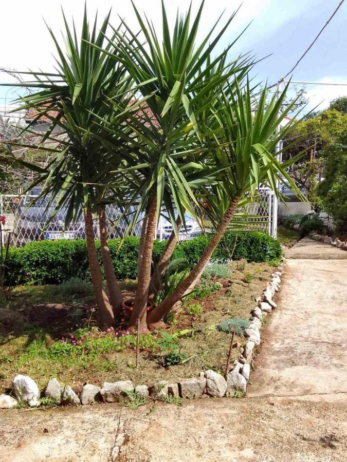 Guesthouse Djurisic Herceg Novi Zewnętrze zdjęcie