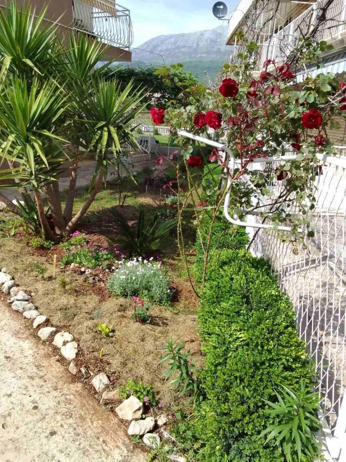 Guesthouse Djurisic Herceg Novi Zewnętrze zdjęcie